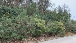 Residential Plot in Riells i Viabrea. Oportunidad parcela con vistas al montseny en riells i viabrea.