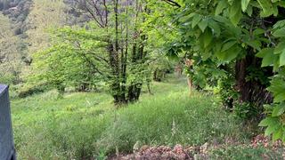 Terrain résidentiel à Arbúcies. Parcela en fogueres de montsoriu