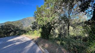 Terreno residencial en Arbúcies. Oportunidad parcela en venta en una zona muy tranquila del parqu