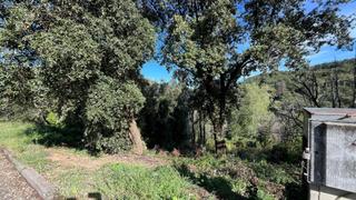 Terreno residencial en Arbúcies. Oportunidad parcela en venta en una zona muy tranquila urb. fogu