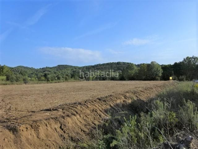 Foto b9c86328-4247-4c85-8562-76e71ee4b9a9. Area edificabile industriale in Riells i Viabrea