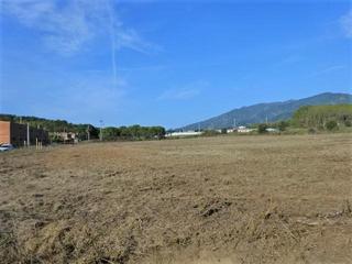 Solar industrial a Sant Celoni. Parcela totalment plana en venta para edificar nave industrial e