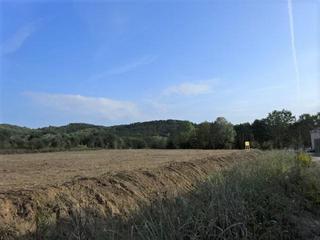 Solar industrial a Sant Celoni. Parcela totalment plana en venta para edificar nave industrial e