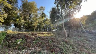 Terreny residencial a Riells i Viabrea. Oportunidad parcela en venta en una zona muy tranquila urb. fogu