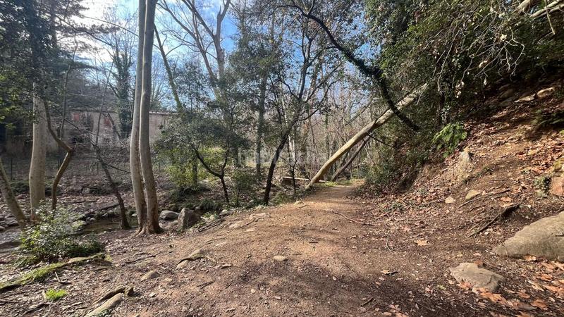 Foto 29ad0efa-d9d1-4ae8-9afa-c76cb8b8e5e1. Masia amb aparcament a Riells i Viabrea