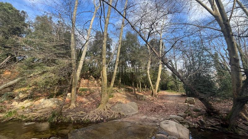 Foto 587086e4-7db4-4e69-8741-745bf3db4ef9. Masia amb aparcament a Riells i Viabrea