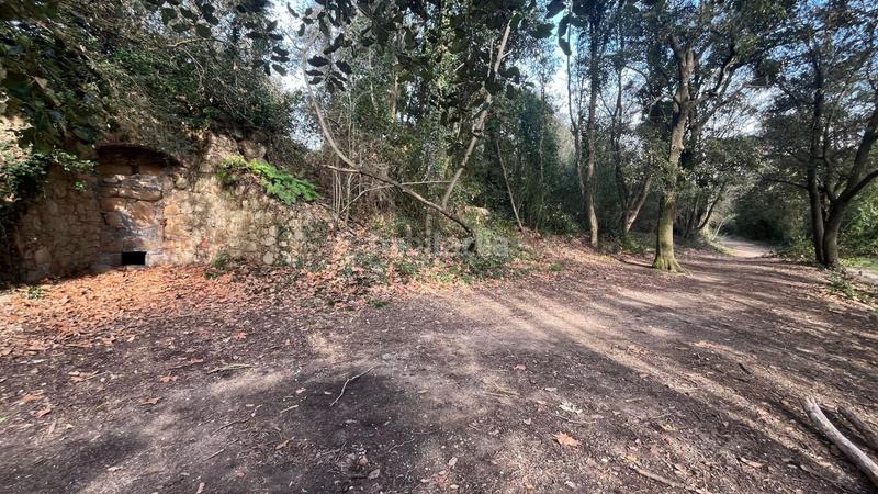 Foto f2335f7a-47ca-4037-85af-3f0d7bbf67a0. Masia amb aparcament a Riells i Viabrea