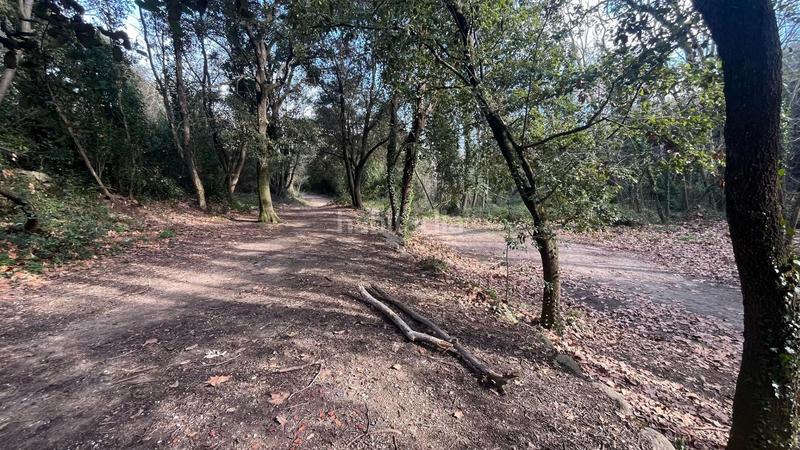 Foto fff879fc-98dd-4137-8289-089e9119e185. Masia amb aparcament a Riells i Viabrea