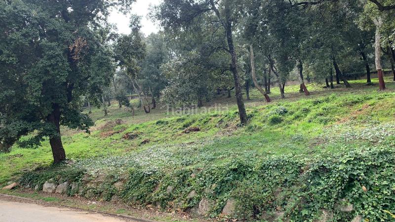 Foto 3efa05d3-4420-4d65-b294-7707690740be. Wohngrundstück in turó de monfort 90 in Arbúcies