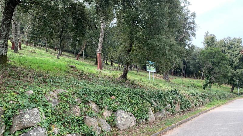 Foto b0d7cf72-e774-4e65-894c-40085aec36b0. Wohngrundstück in turó de monfort 90 in Arbúcies