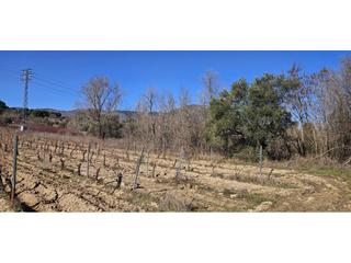 Finca rústica en San Martín de Valdeiglesias. Finca rustica en san martin de valdeiglesias