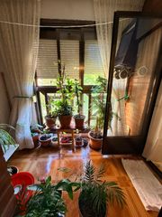 Etagenwohnung  Calle herencia 10. Nuda propiedad