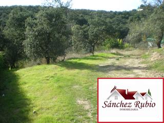 Residential Plot in El Peñalar - Arroyo de Trofas - Montealegre
