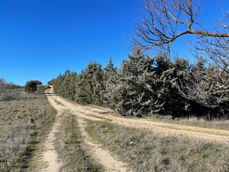 Foto b13082a0-fec1-45fe-b78c-3507d239416b. Terreno residenziale in Urb. Calypo Navalcarnero