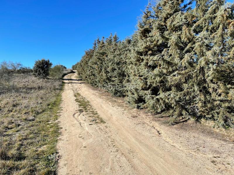 Foto f352ef7e-951d-403e-bde9-c7b958dd072a. Terreno residenziale in Urb. Calypo Navalcarnero