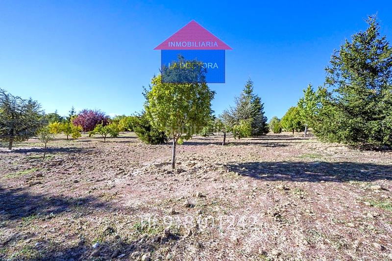 Foto 1fc95c25-dc06-45ac-b5b8-7783fec4d7d9. Finca rústica finca en el pinar de 14 ha!! en La Dehesa - El Pinar Navalcarnero