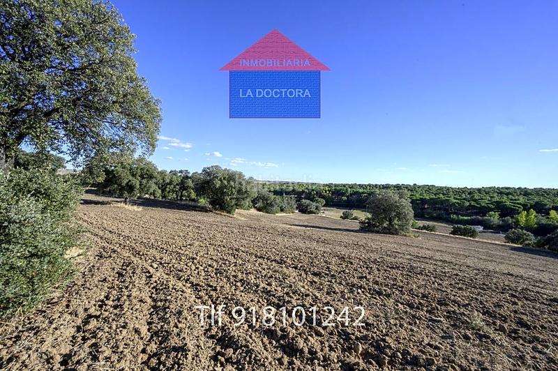 Foto 5a52a819-6ce3-4acd-973c-1b06c9563007. Finca rústica finca en el pinar de 14 ha!! en La Dehesa - El Pinar Navalcarnero