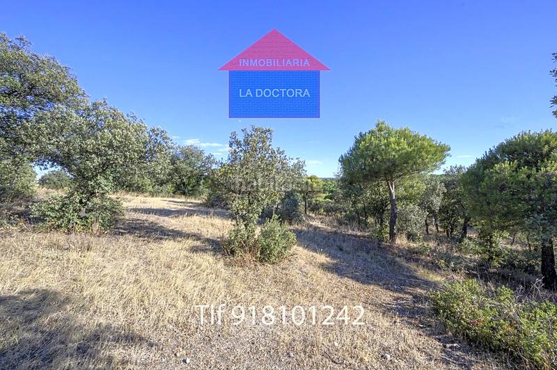 Foto a3625c21-c90f-4b0c-bc58-c3ef83af0bb3. Finca rústica finca en el pinar de 14 ha!! en La Dehesa - El Pinar Navalcarnero