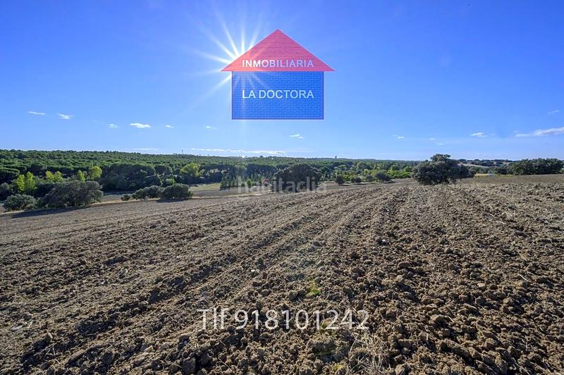 Foto b62c926f-31c6-4fd5-addd-17d27035e733. Finca rústica finca en el pinar de 14 ha!! en La Dehesa - El Pinar Navalcarnero