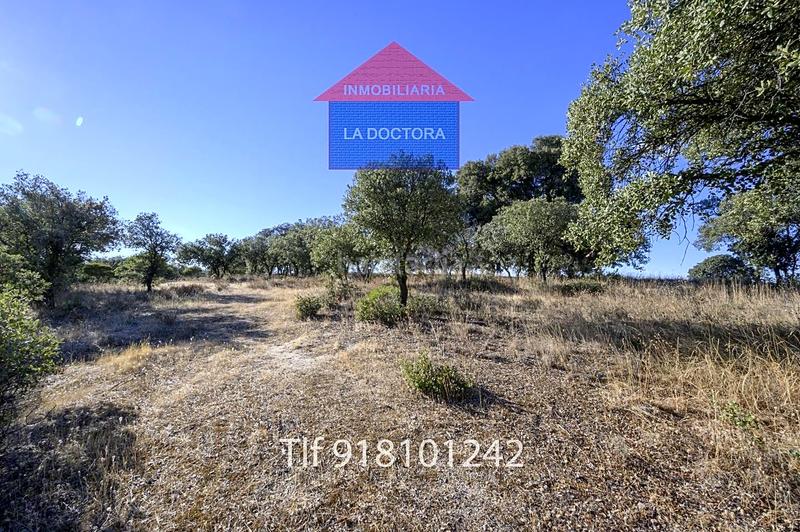 Foto bab79337-717e-447d-b82e-a1e3241fa12f. Finca rústica finca en el pinar de 14 ha!! en La Dehesa - El Pinar Navalcarnero