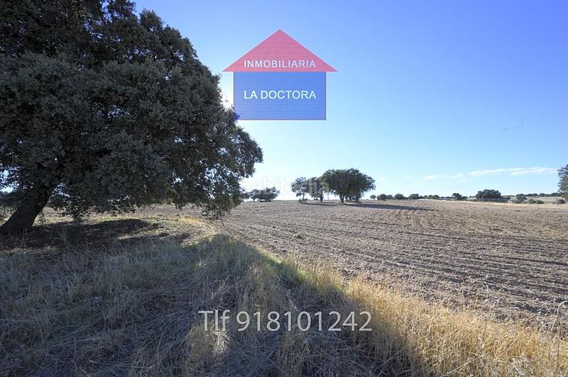 Foto bfcf4fd6-da4d-4e18-9618-96eb0accc46d. Finca rústica finca en el pinar de 14 ha!! en La Dehesa - El Pinar Navalcarnero