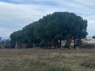 Residential Plot in Carretera villaviciosa 22
