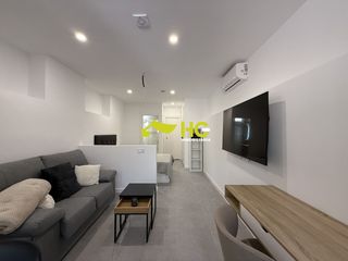 Location Studio à El Bosque. Estudio en alquiler en urbanización  el bosque, 1 dormitorio.