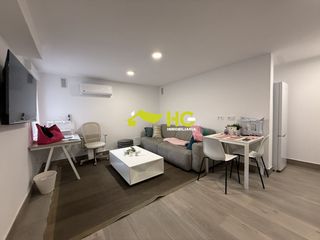 Miete Studiowohnung in El Bosque. Estudio en alquiler en urbanización  el bosque, 1 dormitorio.