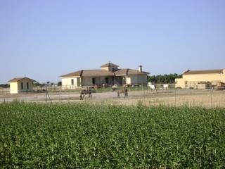 Bauernhof  Extrarradio. Finca hipica cerca de madrid