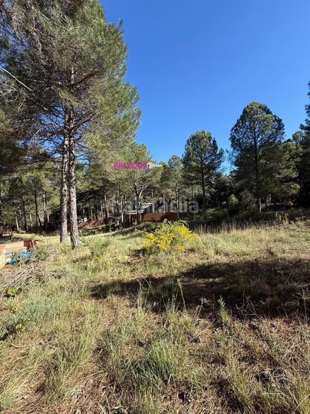 Foto d0b0974b-684e-4fd3-b695-388faf15a304. Casa acogedora y exclusiva casa urbanizacion valdenaya en Trillo