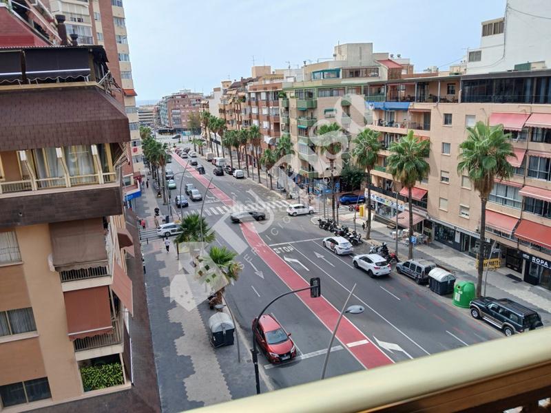 Foto 0a6aecf1-b2d7-4c2b-9d32-05e662a31f26. Pis a Colonia Madrid Benidorm
