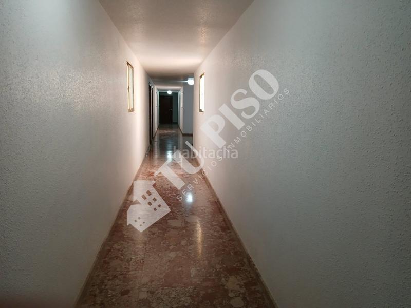 Foto 3928546c-624a-41ea-97c2-b4ed4c0d2e91. Pis a Colonia Madrid Benidorm