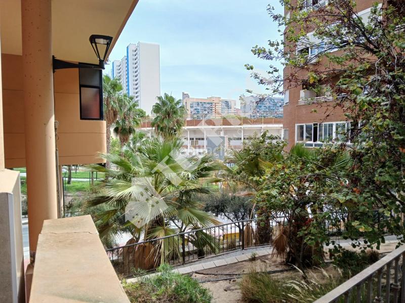 Foto 69d3faa6-8bf5-40ad-a42e-bbdae4e47236. Pis a Colonia Madrid Benidorm