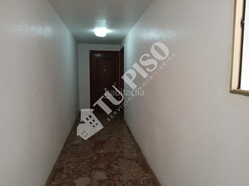 Foto 7bd097a4-06fe-439f-a6b6-972046e93b7a. Pis a Colonia Madrid Benidorm