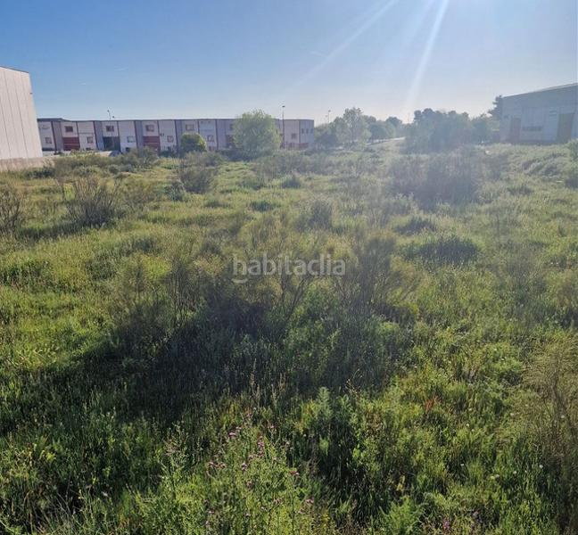 Foto 40f6d26a-83fb-4ce1-8b30-d1475a372a4b. Area edificabile industriale in Altos del Olivar-El Caracol Valdemoro