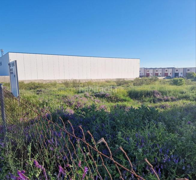 Foto e8ab6553-d0c0-4f91-b79e-cdb1093381bf. Area edificabile industriale in Altos del Olivar-El Caracol Valdemoro