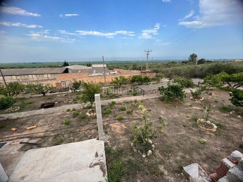 Foto 07077840-c1f0-46ec-a4e6-ce05a054b4d1. Masia a Eucaliptus - Poble Nou del Delta Amposta