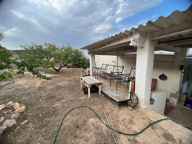 Foto 8f8173c6-f268-4601-b380-68d2de243896. Masia a Eucaliptus - Poble Nou del Delta Amposta