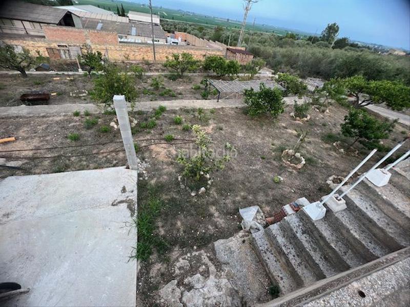 Foto 9c00d8c8-cedf-4073-b064-6f17e6c5c828. Masia a Eucaliptus - Poble Nou del Delta Amposta