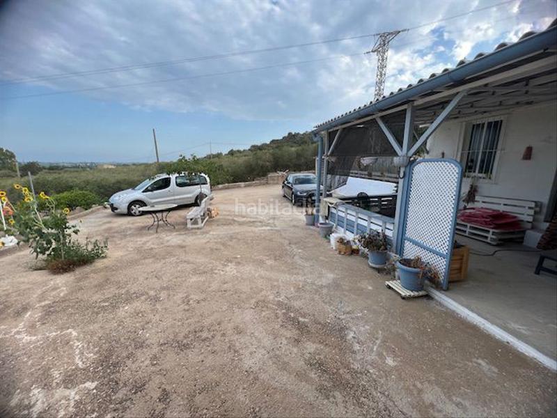 Foto bd76976e-836f-4030-9d20-bec92486cadd. Masia a Eucaliptus - Poble Nou del Delta Amposta