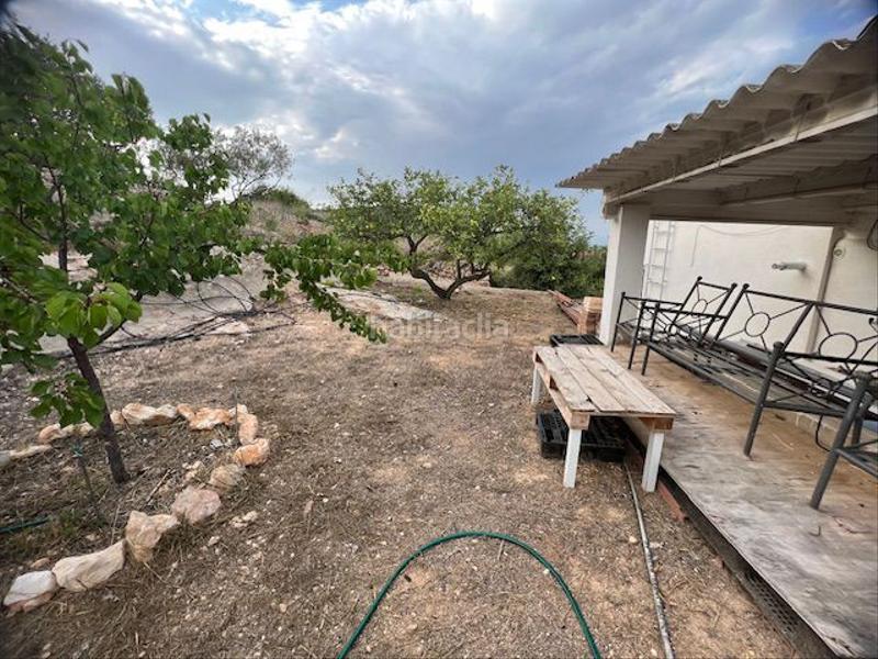 Foto cc7e72df-cb7d-4abe-9e07-244b61e404e5. Masia a Eucaliptus - Poble Nou del Delta Amposta