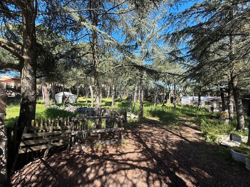 Foto 3f06b8a8-c791-4294-bfaa-a961e3bddd7d. Residential plot in avenida de las flores 35 in Mojadillas-Parque de las Infantas-El Paraiso Valdemorillo