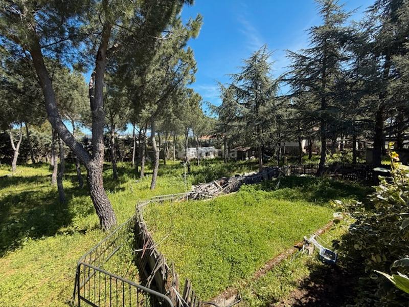 Foto f0f722e2-39b7-483a-b63c-829a0e33fde3. Residential plot in avenida de las flores 35 in Mojadillas-Parque de las Infantas-El Paraiso Valdemorillo