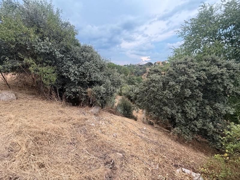 Foto b71e5ec7-d71f-4a83-9784-4b1d3d9ea5e6. Terreno residencial en calle puerto de la canda 9 parcela bien ubicada en Valdemorillo