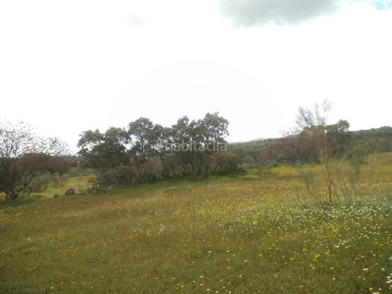 Foto 00a0c743-c796-48f2-98a0-074daa8219bc. Terreny residencial a Valdemorillo pueblo Valdemorillo