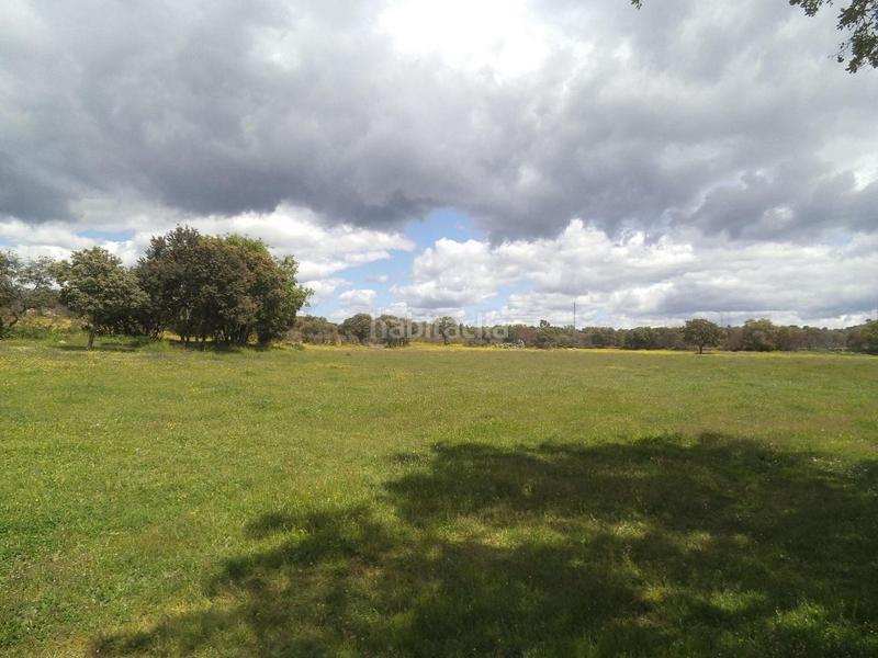 Foto 0659fe70-0d0c-4dc2-8eb3-1f436cbb8256. Terreny residencial a Valdemorillo pueblo Valdemorillo