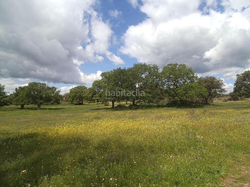 Foto 11a15fe5-ddf6-4768-9362-8ca1c7cce604. Terreny residencial a Valdemorillo pueblo Valdemorillo