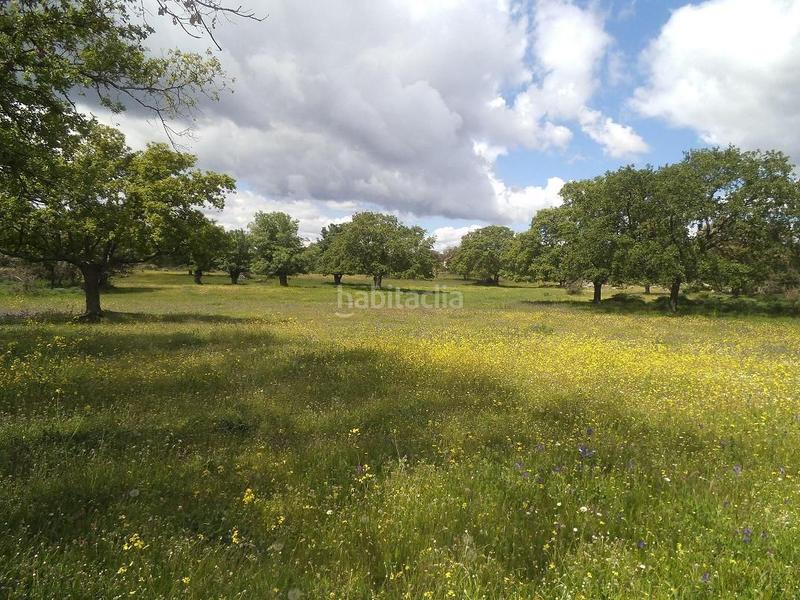 Foto 1aca36ec-618b-4fcc-8970-8e95a56b513a. Terreny residencial a Valdemorillo pueblo Valdemorillo