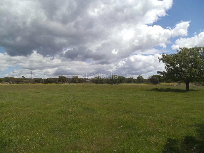 Foto 1d0cc367-a097-477a-b5a7-2cd8c544aaa1. Terreny residencial a Valdemorillo pueblo Valdemorillo