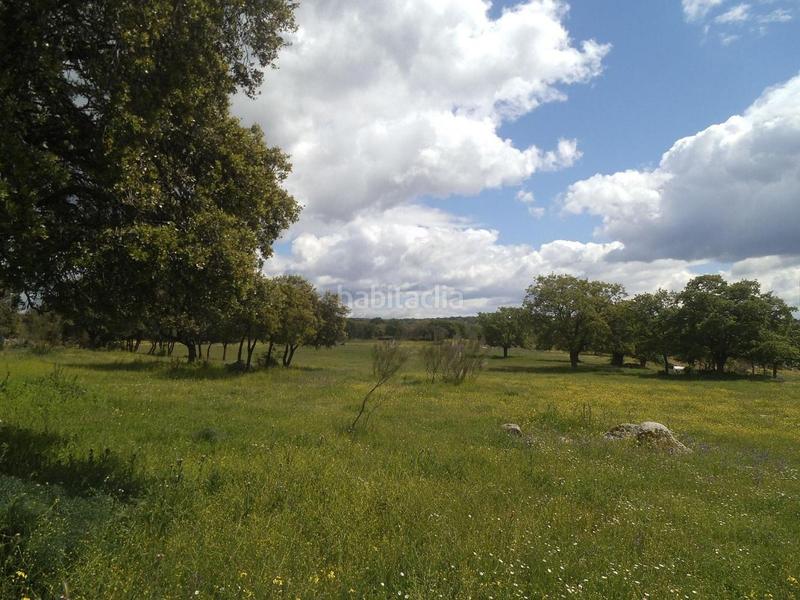 Foto 21e41763-7eaf-4471-815f-0eb48b093ee8. Terreny residencial a Valdemorillo pueblo Valdemorillo